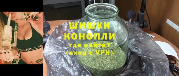 хмурый Лиски